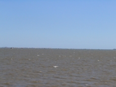 20060909111034.jpg